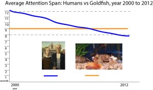 human vs goldfish