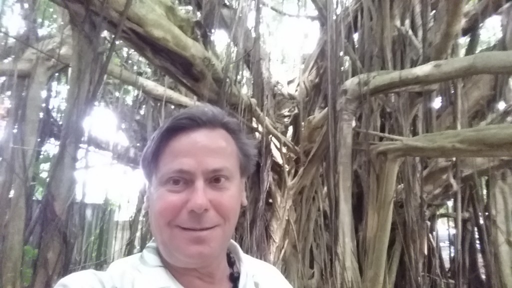 Steve Davis in May 2014, Kauai, Banyan Tree.